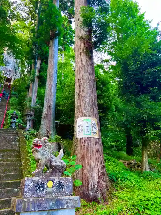中之嶽神社(群馬県)