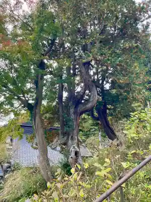 東慶寺(神奈川県)