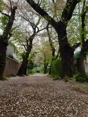 田端神社(東京都)