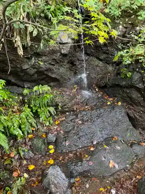 戸隠神社奥社(長野県)