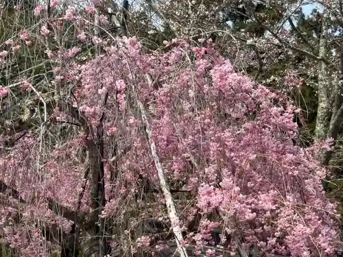 高野山金剛峯寺奥の院(和歌山県)