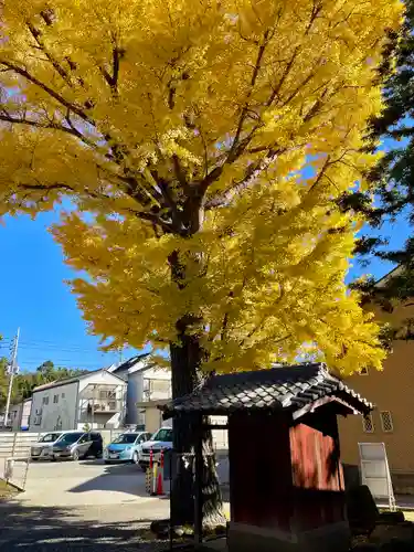 取手八坂神社(茨城県)