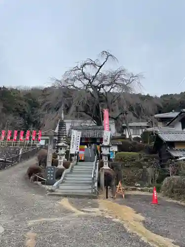 林陽寺(岐阜県)
