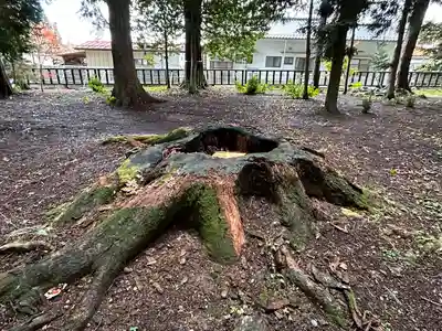 諏訪神社(長野県)