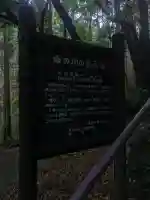 地主神社(桑の川の鳥居杉)(高知県)