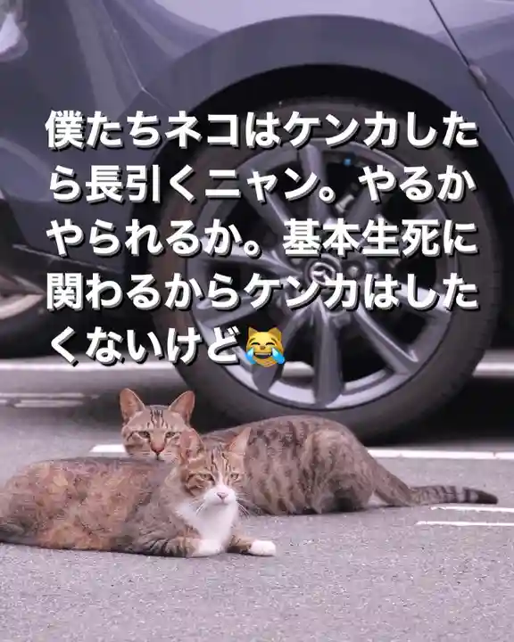 専念寺(大阪府)