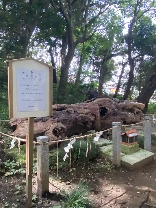 泉神社(茨城県)