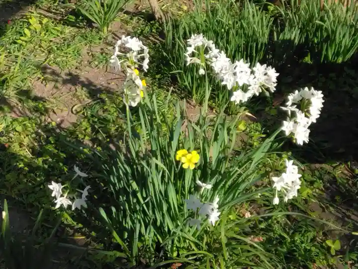 収玄寺(神奈川県)