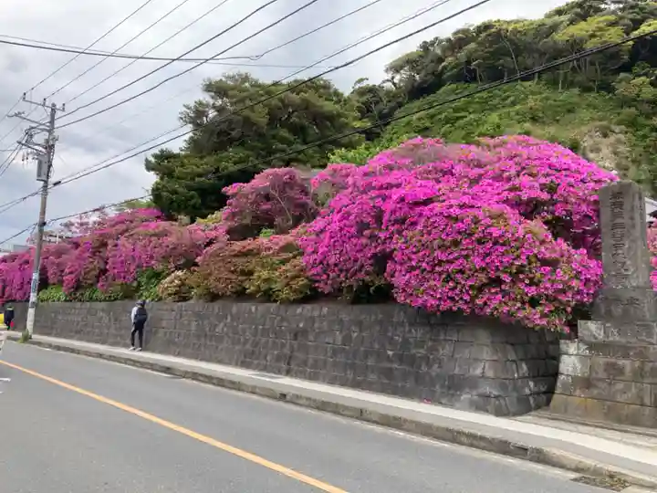 安養院 (田代寺)(神奈川県)