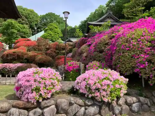 等覚院(神奈川県)