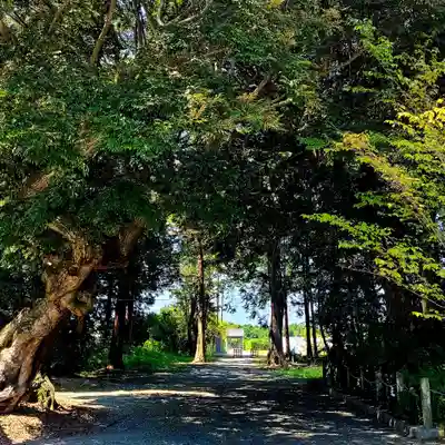 曽許乃御立神社(静岡県)