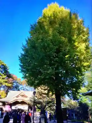 布多天神社(東京都)