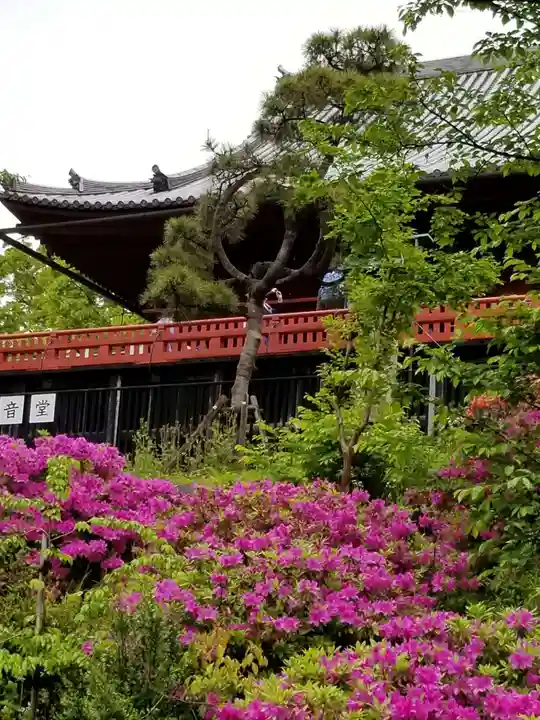 清水観音堂の庭園