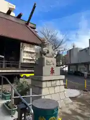 高円寺氷川神社の狛犬