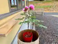 滑川神社 - 仕事と子どもの守り神のその他建物