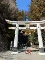 宝登山神社(埼玉県)