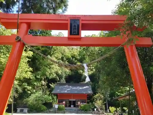 巖島神社の鳥居