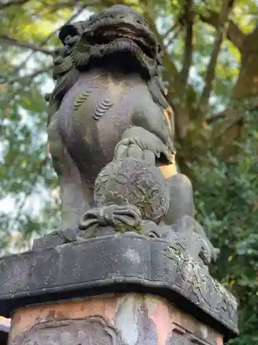 阿佐ヶ谷神明宮の狛犬