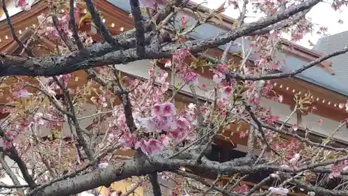 櫛田神社の自然