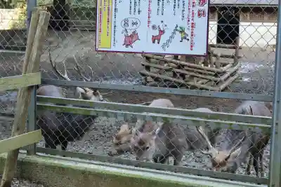 鹿島神宮(茨城県)
