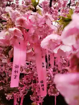 桜神宮(東京都)