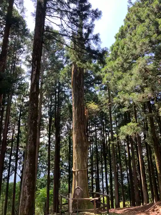 身延山奥之院思親閣(山梨県)