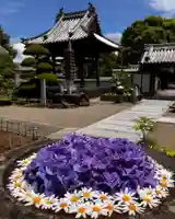 真言宗 善通寺派 薬王寺(香川県)