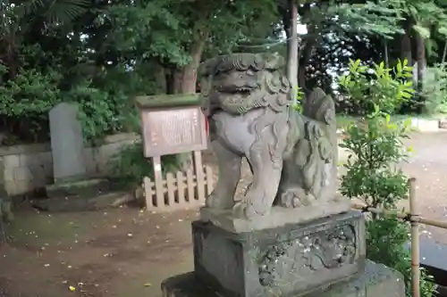 岩槻愛宕神社の狛犬