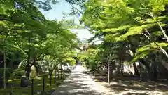 光明寺（粟生光明寺）の建物その他