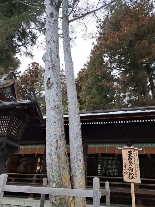 諏訪大社下社秋宮(長野県)