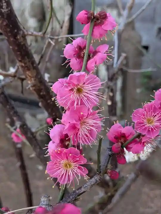 田端神社(東京都)