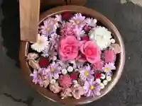 多賀神社の手水舎