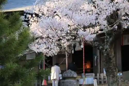 土津神社｜こどもと出世の神さまの景色