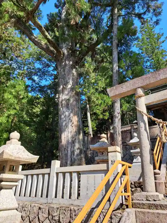八幡神社(岐阜県)