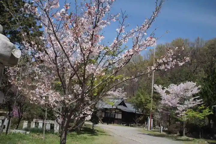 山梨縣護國神社の自然