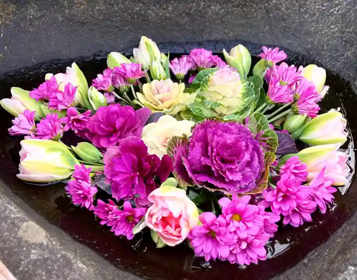 真言宗 善通寺派 薬王寺(香川県)