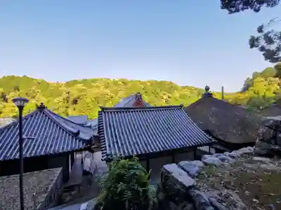 金剛寺(大阪府)