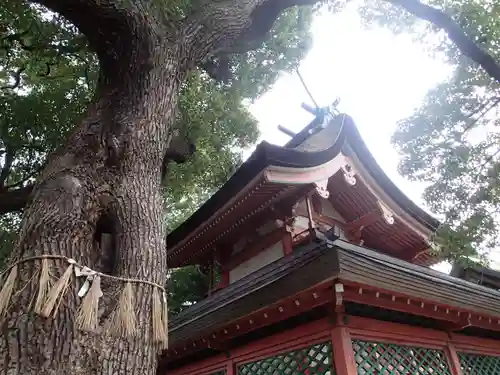 生根神社の本殿