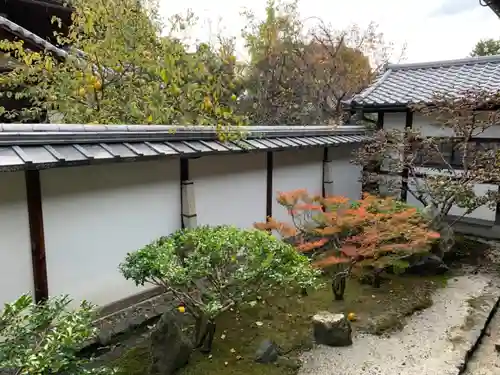 隨心院（随心院）の庭園