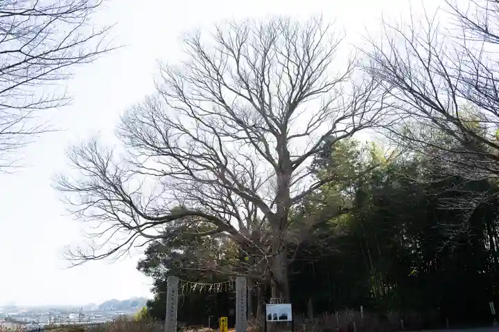 水戸八幡宮(茨城県)