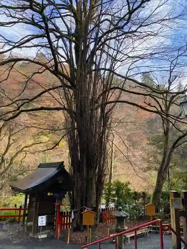 貴船神社の自然