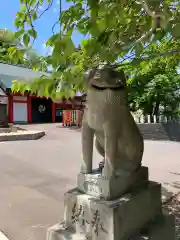 住吉神社の狛犬