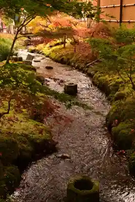 禅林寺(永観堂)(京都府)