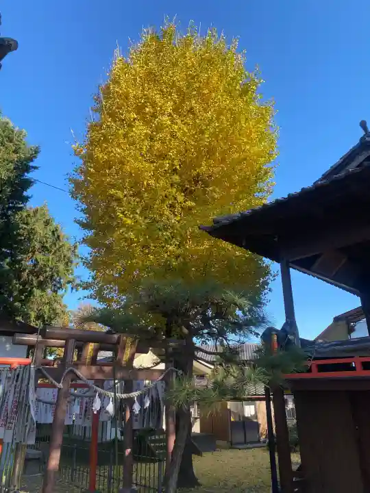 駒形神社の{uncategorized: "未分類", other: "その他", undefined: "問題あり", building: "その他建物", grave: "お墓", sacred_gate: "鳥居", guardian: "狛犬", statue: "像", buddha: "仏像", history: "歴史", nature: "自然", garden: "庭園", animal: "動物", pagoda: "塔", temizu: "手水舎", mountain_gate: "山門・神門", sanctuary: "本殿・本堂", subordinate: "末社・摂社", art: "芸術", scenery: "景色", jizo: "地蔵", ema: "絵馬", goshuin: "御朱印", omikuji: "おみくじ", items: "授与品その他", amulet: "お守り", goshuincho: "御朱印帳", eats: "食事", festival: "お祭り", votive_dance: "神楽", shichigosan: "七五三参", wedding: "結婚式", experience: "体験その他", initially: "初詣", around: "周辺", anti_infection: "感染症対策"}