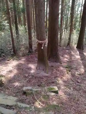 神明社(宮城県)