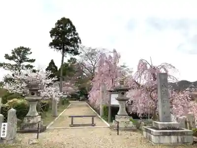淡河八幡神社のその他建物