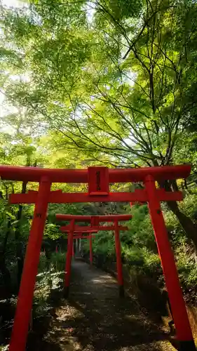 岐阜稲荷山本社の鳥居