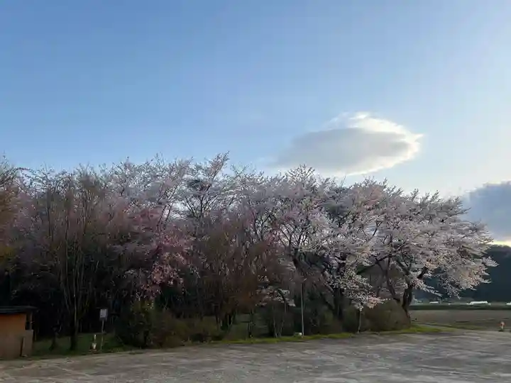 坪沼八幡神社の自然