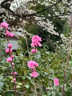 簳幹八幡宮(東京都)