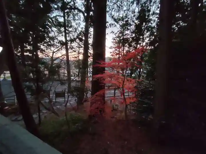 事任八幡宮の自然